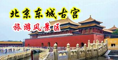 俄罗斯小骚B被操视频中国北京-东城古宫旅游风景区